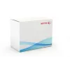 Xerox Transfer Roller, WorkCentre 7525/7530/7535/7545/7556, 1 Stk.