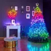 TWINKLY Strings 250 Special Edition (TWS250SPP-BEU) Smarte Weihnachtsbaumlichter 250 LED RGB+W 20 m