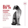 ROYAL CANIN Savour Exigent - Trockenfutter für Katzen - 10 kg