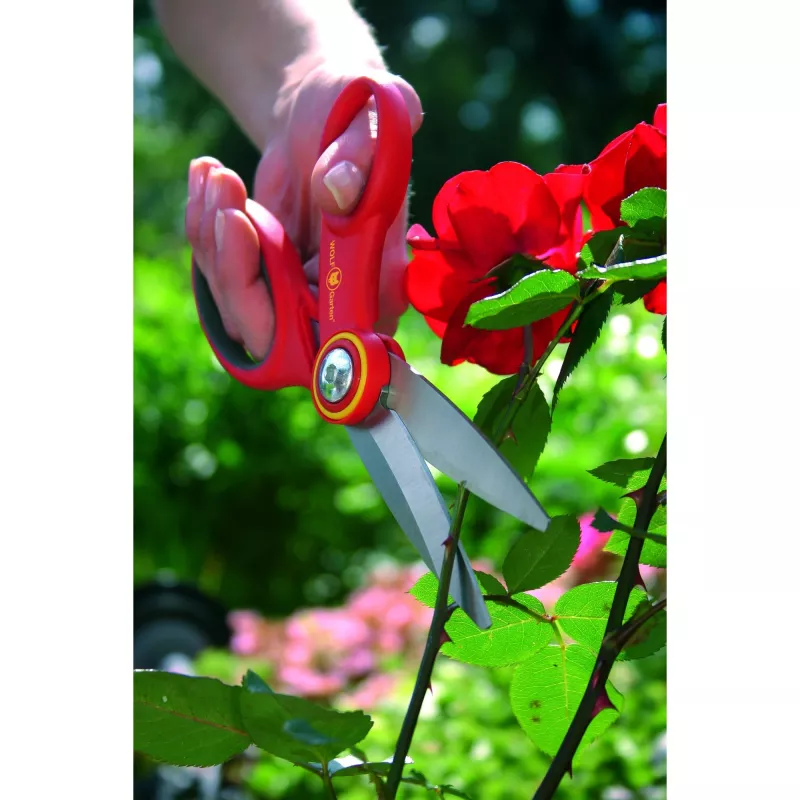WOLF-Garten RA-X Vielzweckschere, 18 cm, rot, zerlegbar (73AFA010650)