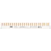 ABB PSc 3/24/10 N Phasenschiene 3Ph.+N 24Pins 10 mm² (2CDL230331R1012)
