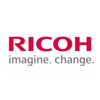 Ricoh D1369640 (D136-9640) Schwarz Entwickler (SPEC)