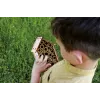 Set I'M A Genius - Bienenlabor
