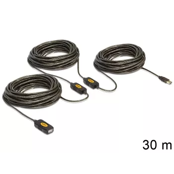 USB-Kabel DeLOCK 30m USB2.0 USB A Schwarz