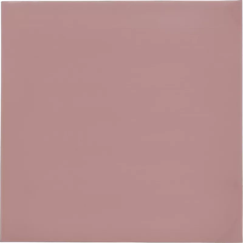 Thermal Grizzly Minus Pad 8 – 100 x 100 x 0,5 mm, 2 Stück