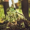 Fiskars Xact™ Cultivator 3 grau, weiß Handgrubber
