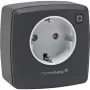 eQ-3 AG Homematic IP 161613A0, Indoor, Anthrazit, Kunststoff, IP20, IP20, 70 mm