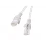 Lanberg PCU6-20CC-0025-S Cat6 U/UTP Patchkabel, 0,25 m, Grau, 10 Stück