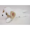 Plüschhund liegend Madej 60 cm - Madej 243098