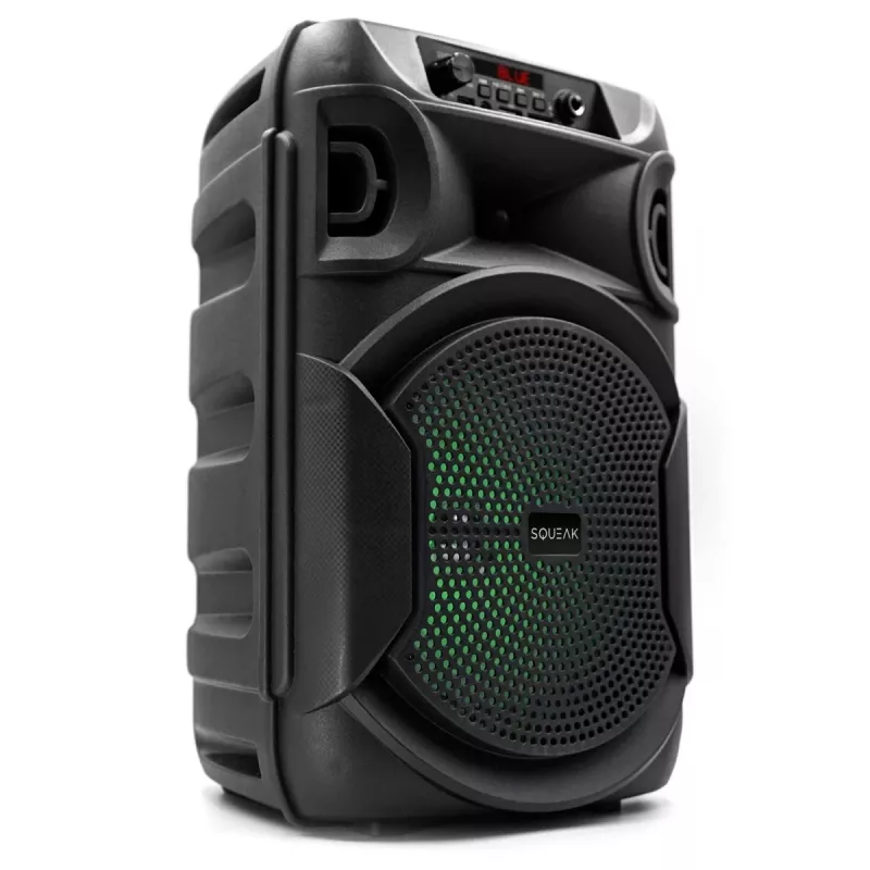 BLUETOOTH SPEAKER 5.3 E DR PULSETOWER SQ1006