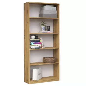 Topeshop R60 ARTISAN Büroregal