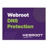 Webroot | DNS Protection mit GSM-Konsole | 2 Jahr(e) | Lizenzmenge 1-9 Benutzer