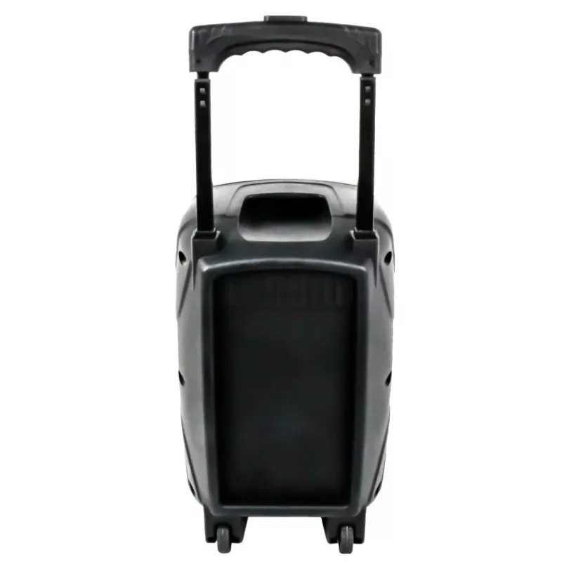 Tragbarer Lautsprecher Bluetooth APS22, Schwarz