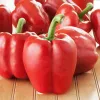 PNOS Ozarowska Paprika umhüllte Samen, 50er-Pack