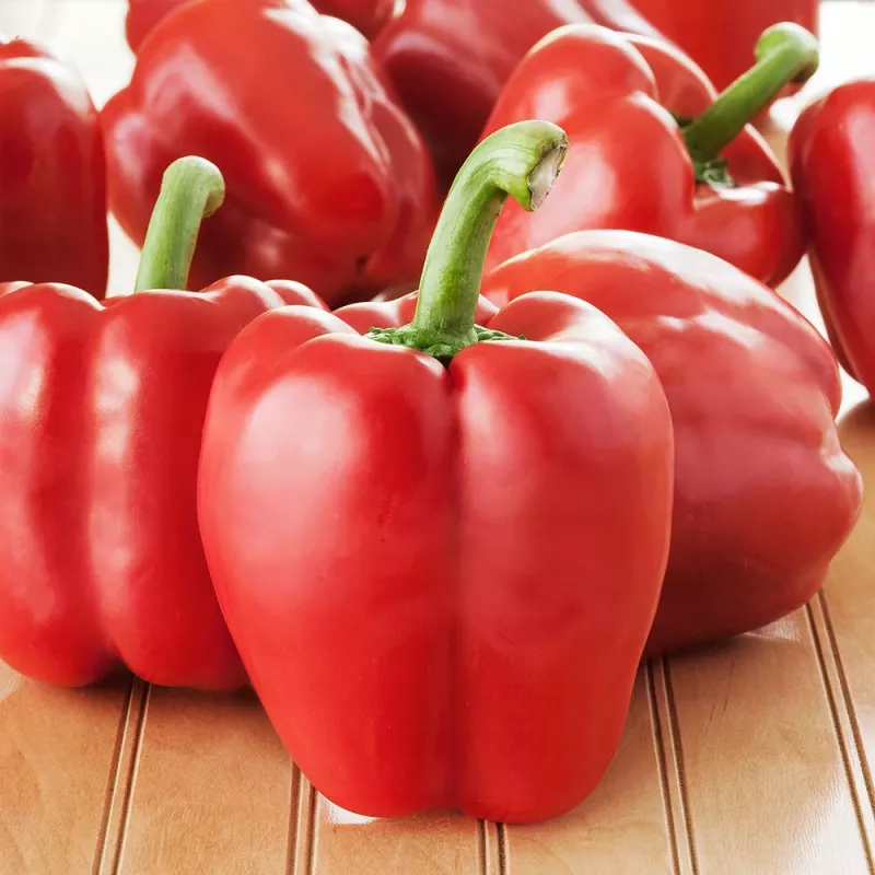 PNOS Ozarowska Paprika umhüllte Samen, 50er-Pack