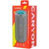 Canyon CNE-CBTSP15BG Tragbarer Lautsprecher Beige