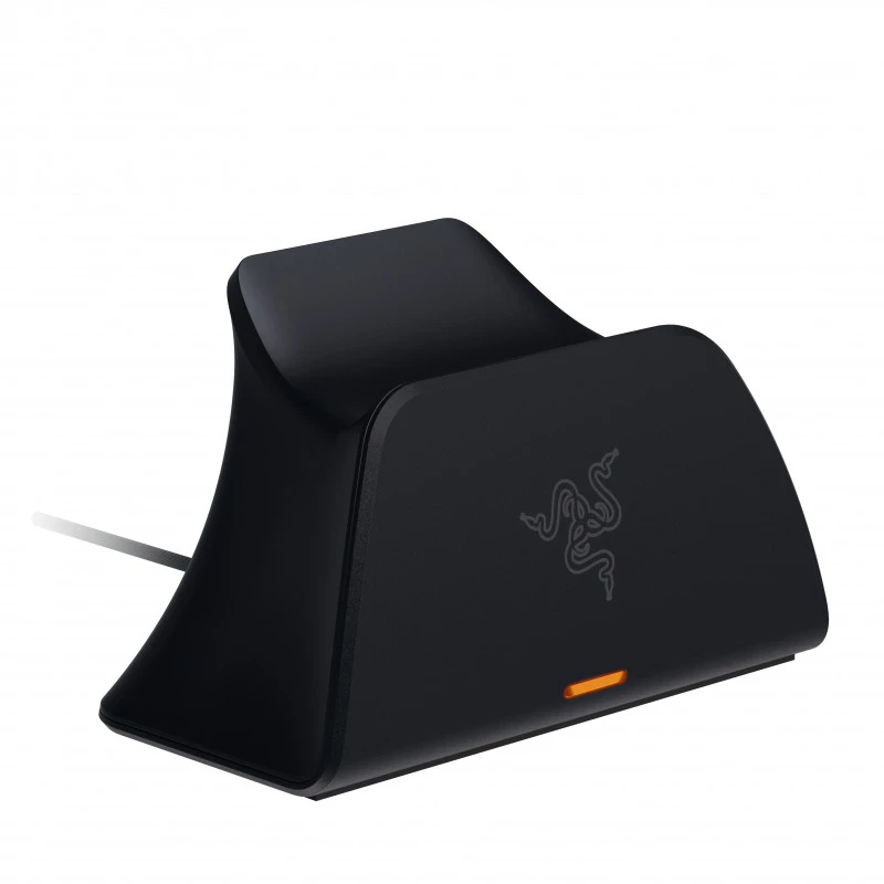 Razer RC21-01900200-R3M1 Schwarz USB Type-C