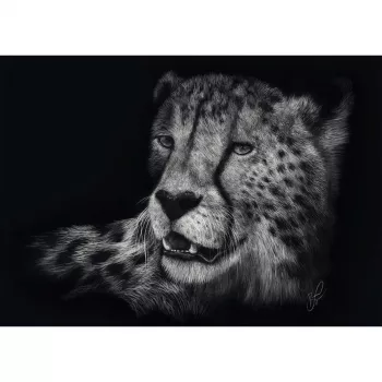 Ashley Rader: Speed - Gepard, Im Zeichen der Anmut, Puzzle 1000 Teile