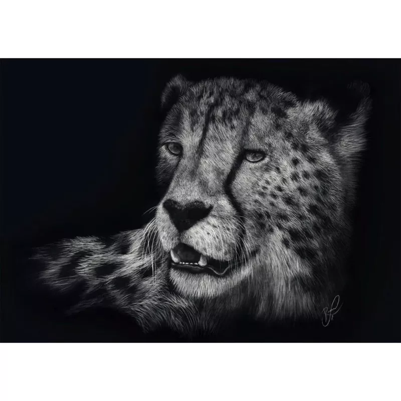 Ashley Rader: Speed - Gepard, Im Zeichen der Anmut, Puzzle 1000 Teile