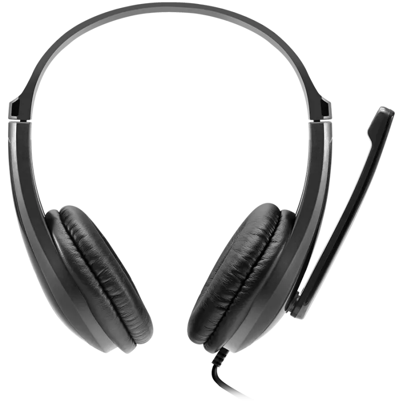 CANYON PC-Headset HSC-1 PC Mic Flat 2m Schwarz