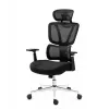Bürostuhl mark adler Expert 4.6 Schwarz Drehstuhl MA-EXPERT 4.6 Schwarz, schwarze Polsterung, einstellbare Funktionen