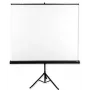 Avtek Tripod Standart 175 Projektionsleinwand 1:1