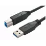 USB-Kabel Bachmann 917.1205 USB 3.2 Gen 1 1 m USB A USB B Schwarz