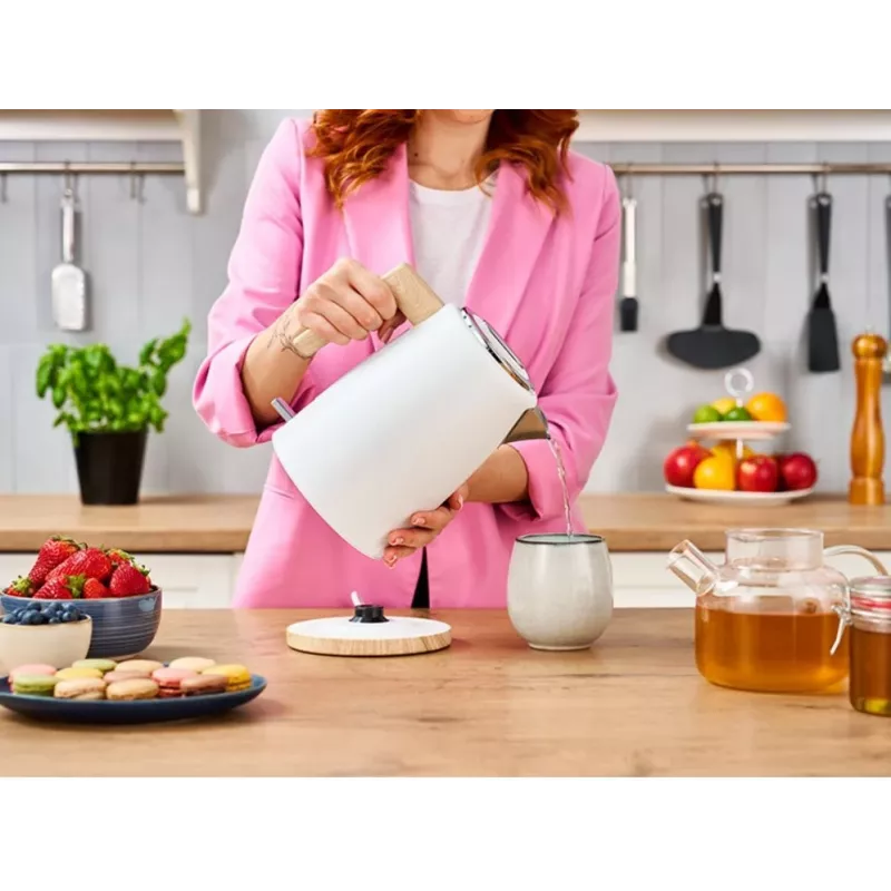 Elektrischer Wasserkocher Scandi Pro