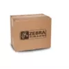 Zebra - Druckkopf-Umrüstsatz (300 dpi) - für ZT400 Series ZT420 (P1058930-025)