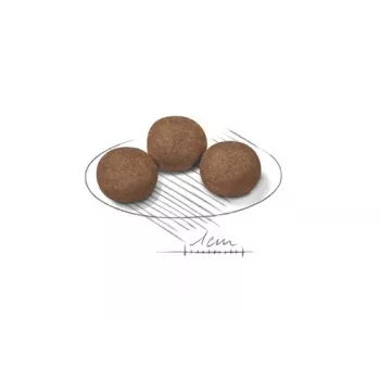 Royal Canin Medium Puppy Trockenfutter für Welpen 15 kg
