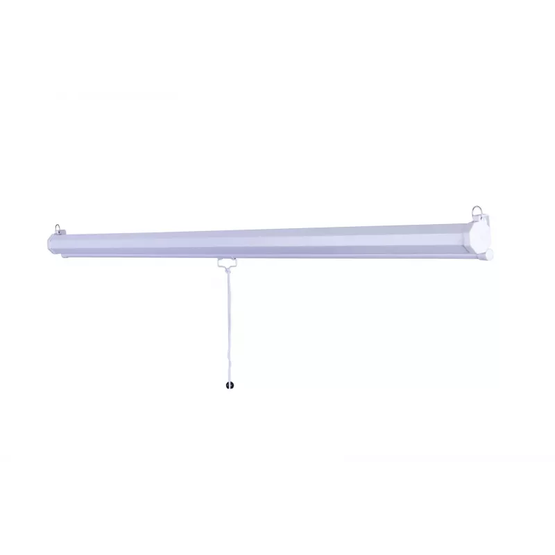 Projektionsleinwand Sponge Silelis 200x200 cm Stativleinwand, tragbar quadratisch 1:1 Format
