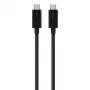 USB-C auf USB-C Kabel Belkin F2CD084bt0.8MBK 0,8 m 40 Gbit/s Schwarz