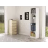 Bücherregal für das Büro Topeshop R50 BIEL 5 Regalböden weiß