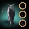 Sheba Selection in Sauce Juicy Flavours Nassfutter für Katzen, 12 x 85 g