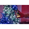 TWINKLY Strings 250 Special Edition (TWS250SPP-BEU) Smarte Weihnachtsbaumlichter 250 LED RGB+W 20 m