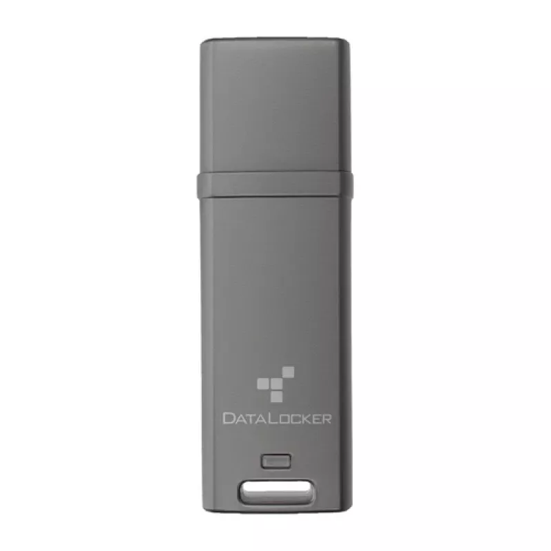DataLocker DL GO DLGO-004 4-GB-USB-Stick, 256-Bit-AES-XTS, FIPS 197, MFA, gemischt