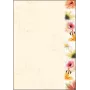 Sigel DP788 Flowerstyle Motivpapier, A4, 90 g/m2, 50 Blatt