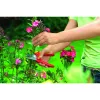 Rasenmäher WOLF-Garten RR 1500 BASIC PLUS