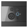 AUDAC WP225/B Wandpanel, XLR-Mikrofon + 3,5-mm-Klinkenbuchse, Bluetooth, schwarz