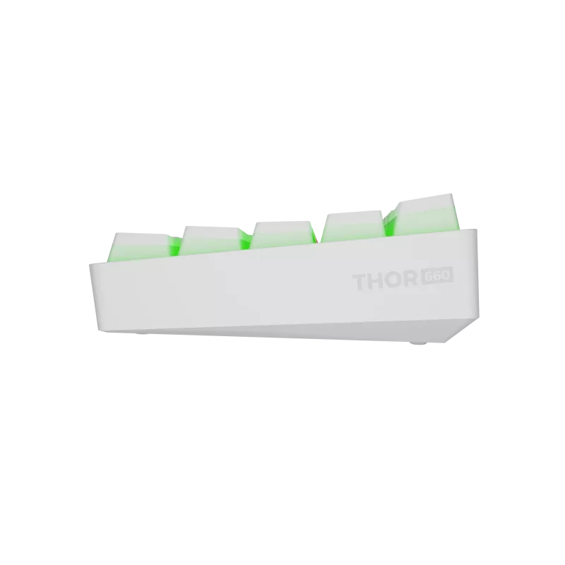 Gaming-Tastatur Genesis THOR 660 G2 — kabellos (2,4 GHz, Bluetooth) und kabelgebundener USB-Modus