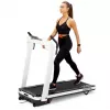 HMS LOOP14 Elektrisches Laufband 1-14 km/h