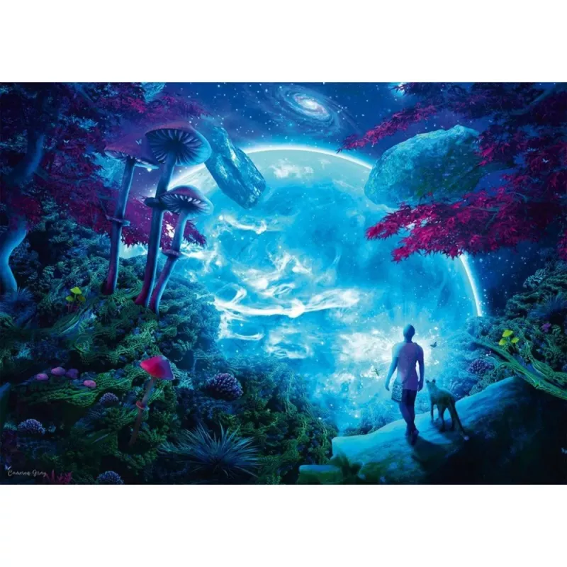 Cameron Gray Himmelsfantasie, Puzzle 1000 Teile
