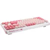 Ducky One 3 TKL Tastatur Gaming USB QWERTY Englisch Pink