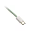 Ducky Premicord USB-Kabel 1,8 m USB A USB C Blau Grün