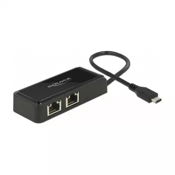 DeLOCK 63927 USB-C auf 2x Gigabit LAN Adapter, Schwarz