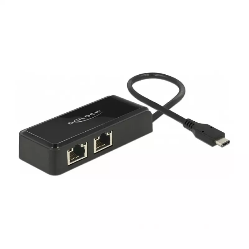 DeLOCK 63927 USB-C auf 2x Gigabit LAN Adapter, Schwarz