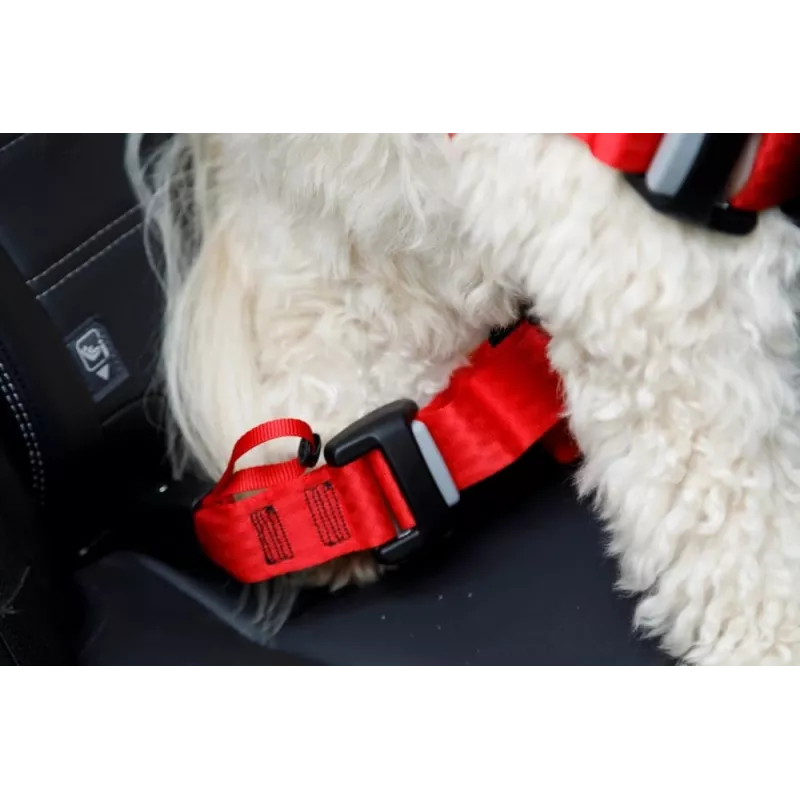 Hundegeschirr ZOLUX TRAVEL SAFE S — Größe S, schwarz