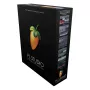 FL Studio Producer Edition BOX – Musikproduktionssoftware