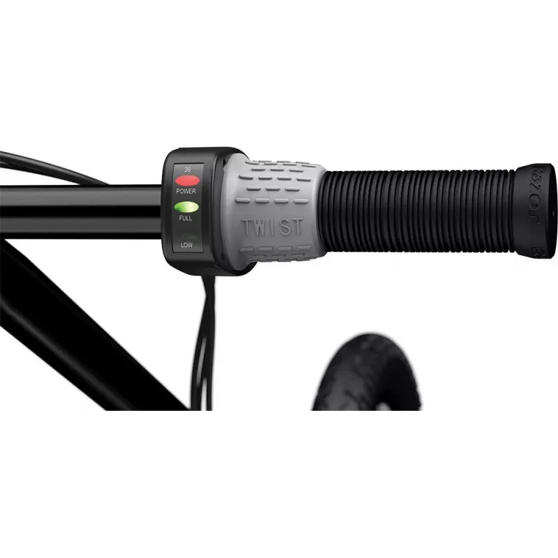 Elektroroller Razor Ecosmart SUP