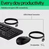 HP 225 G2 USB kabelgebundenes Maus-Tastatur-Kombination, Copilot-Taste, spritzwassergeschützt – Schwarz – ESTNISCH